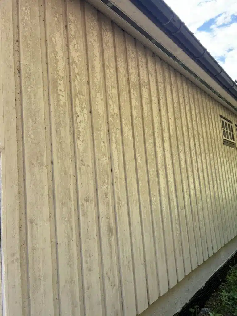 506053769_122137808312760075_3382527513491356687_n