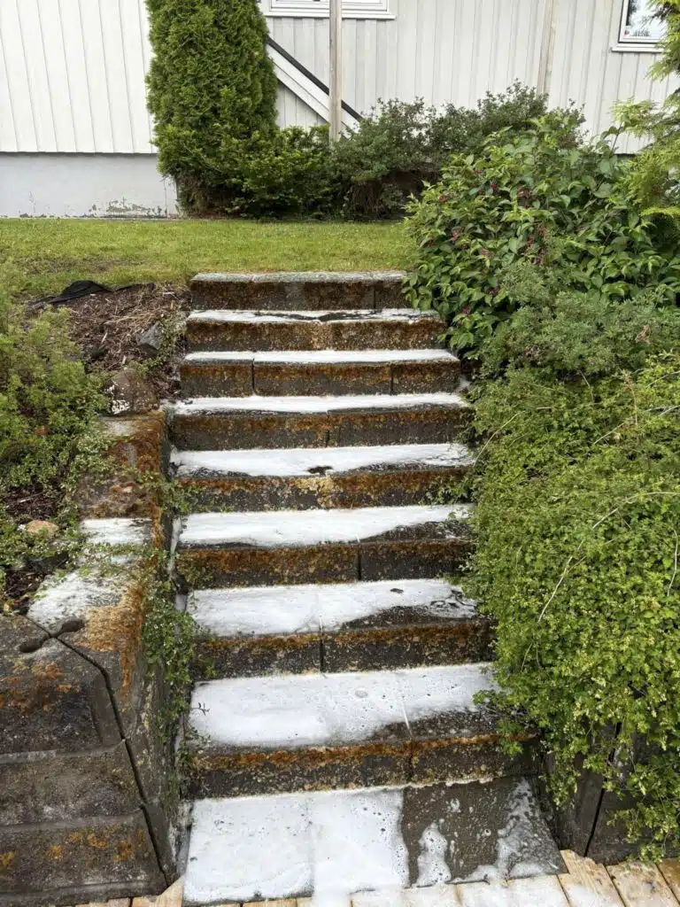 511237924_122139946340760075_502605981594578783_n