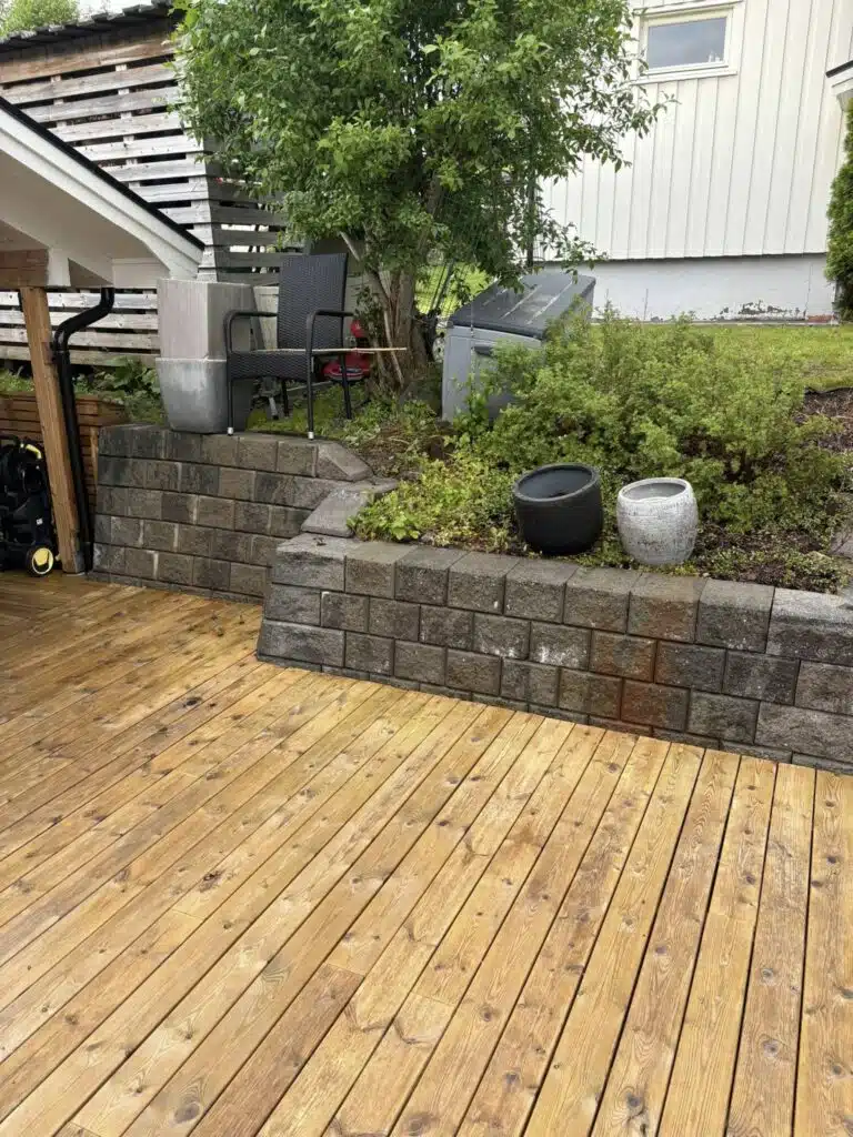 511536447_122139946502760075_8592748121225657003_n